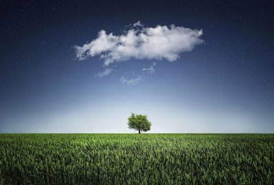 Texte alternatif de l'image